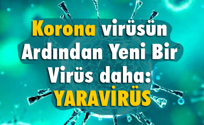 Korona Ardından Yeni Bir Virüs daha; Yaravirus