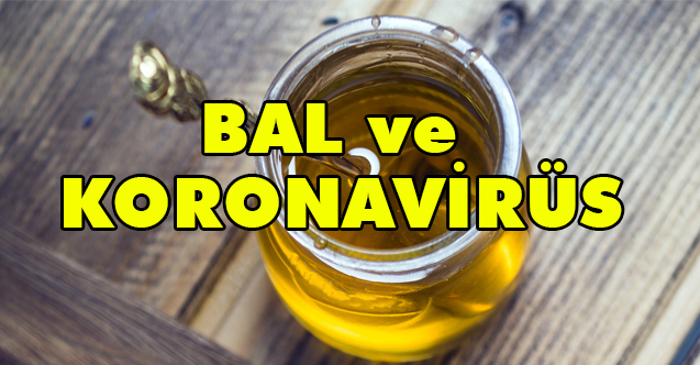 CORONA (Korona) yayılımı İle İlgili Net Bilgi