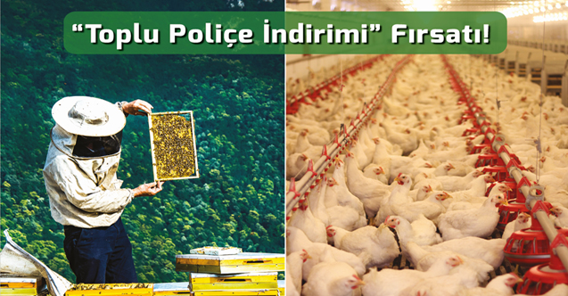 Arı Yetiştiricileri ve Kanatlı Hayvan Üreticilerine Toplu Poliçe İndiirim Fırsatı
