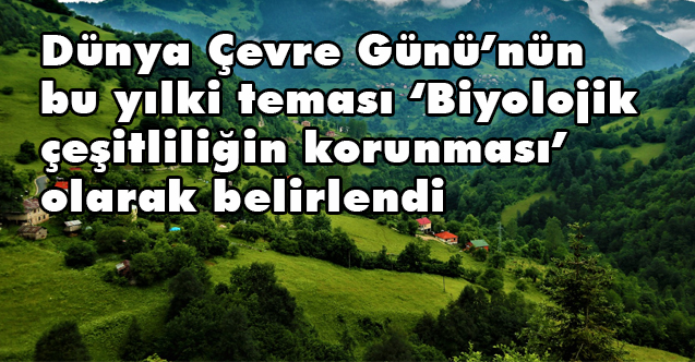 Orman Genel Muduru Karacabey Den Dunya Cevre Gunu Aciklamasi
