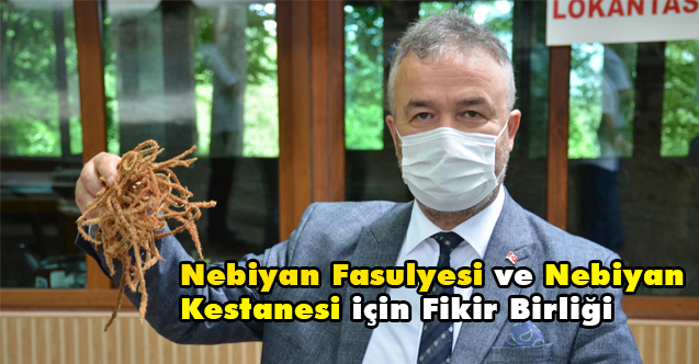 19 Mayıs'ta, Nebiyan Fasulyesi ve Nebiyan Kestanesi için Fikir Birliği