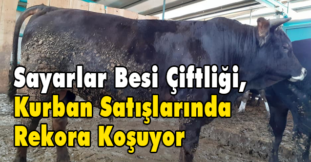 Sayarlar Besi Çiftliği, Kurban Satışlarında Rekora Koşuyor