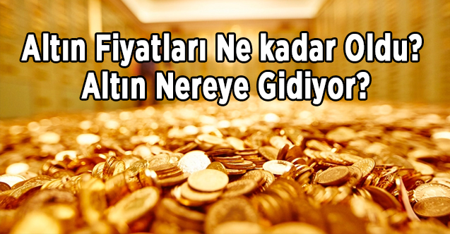 nereye gidiyor