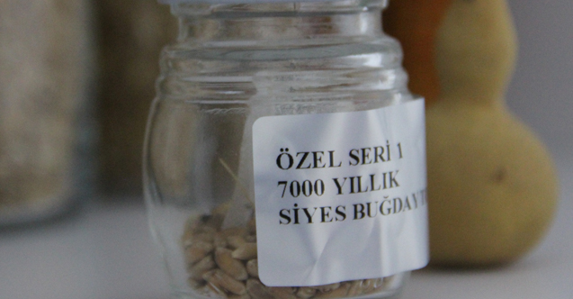 Bodrum’da Tarım Ar-Ge ve Yerel Tohum Merkezi açıldı!