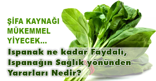 Ispanak ne kadar Faydalı, Ispanağın Sağlık yönünden Yararları Nedir? - Mutfak - Kapsam Haber