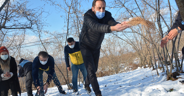 Fatsa Belediyesi Doğaya, Kuşlar İçin Yem, Sokak Hayvanları İçin Mama Bıraktı