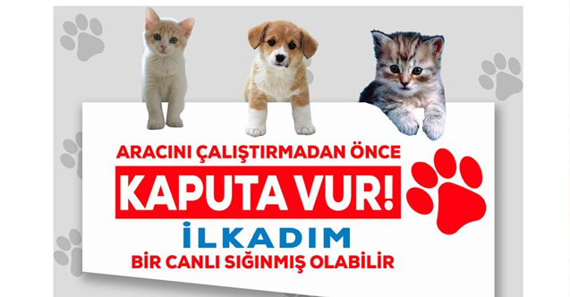 AK Parti İlkadım Gençlik Kolları, 'Kaputa Vur' Farkındalık Faaliyeti Düzenledi
