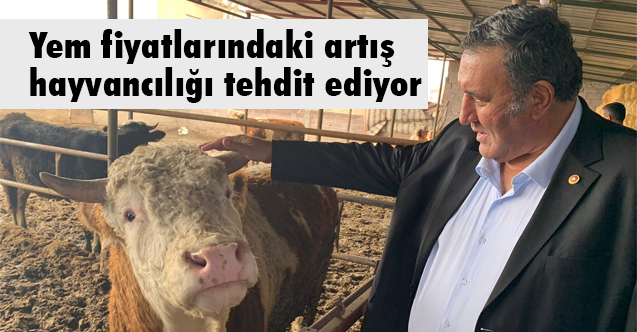 CHP'li Gürer; Yem fiyatlarındaki artış hayvancılığı tehdit ediyor
