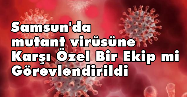 Samsun'da mutant virüsüne Karşı Özel Bir Ekip mi Görevlendirildi