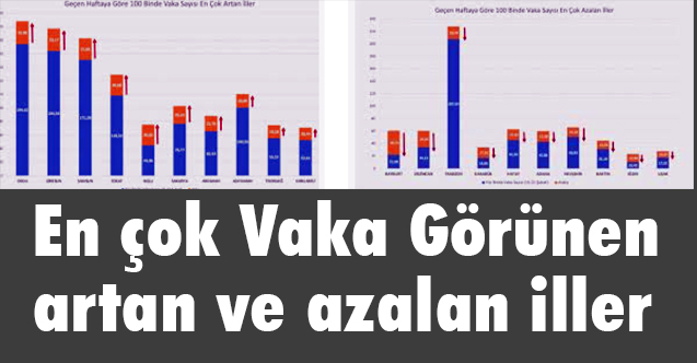 En çok Vaka Görünen artan ve azalan iller hangisi?