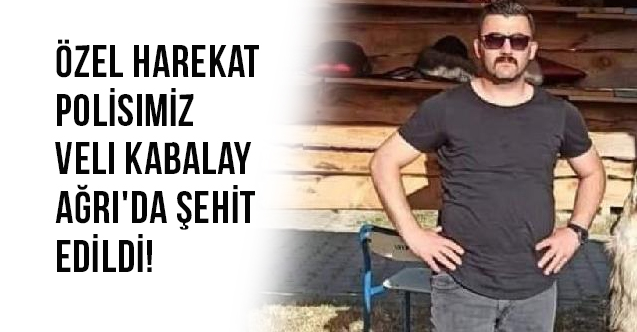 Özel Harekat Polisimiz Veli Kabalay Ağrı'da Şehit Edildi