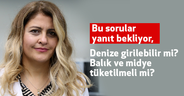 Bu sorular Cevap Bekliyor, Denize girilebilir mi? Balık ve midye tüketilmeli mi?