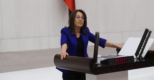 Milletvekili Oya Ersoy, 112 Acil Çağrı Hattı, Bürokratların kendi çıkarları için kullanılabilir mi?