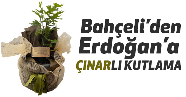MHP Lideri Bahçeli'den Cumhurbaşkanı Erdoğan'a Çınarlı Kutlama