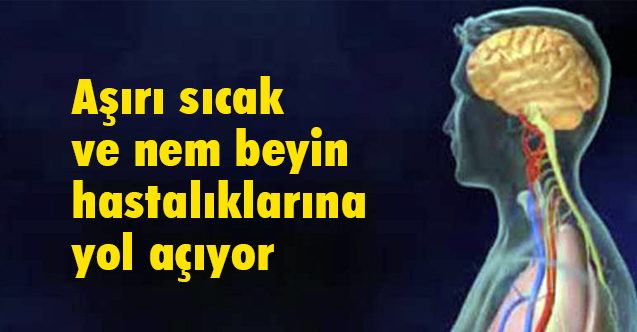 Aşırı sıcak ve nem beyin hastalıklarına yol açıyor