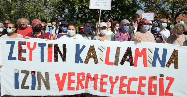 Seferihisar'da Zeytin ağaçlarını Korumak İçin Dava Açan Köylüler Kazandı