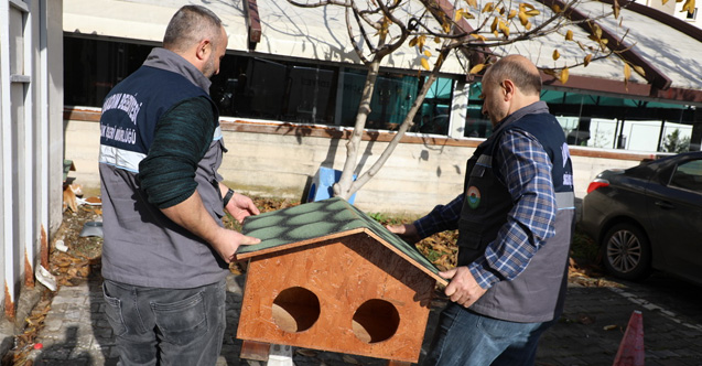 İlkadım Belediyesi Kedi Evi Projesini hayata geçirdi