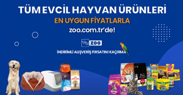 Kedi Maması ve Kedi Malzemeleri Uygun Fiyatlarla Zoo.com.tr ‘de!
