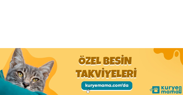 27 Kuryemama Online Satış Mağazasında Konserve yaş mama, Yaşlı Yetişkin Kediler için