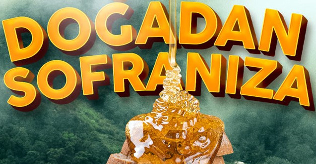 Karadeniz Bölgesinde En Çok Tercih Edilen Bal Çeşitleri Nedir?