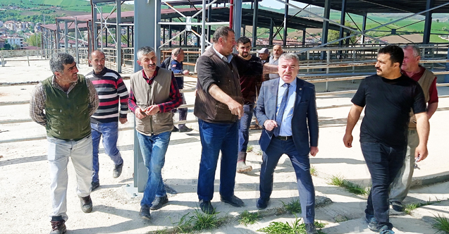 Havza Kapalı Canlı Hayvan Pazarı bayram sonu açılıyor