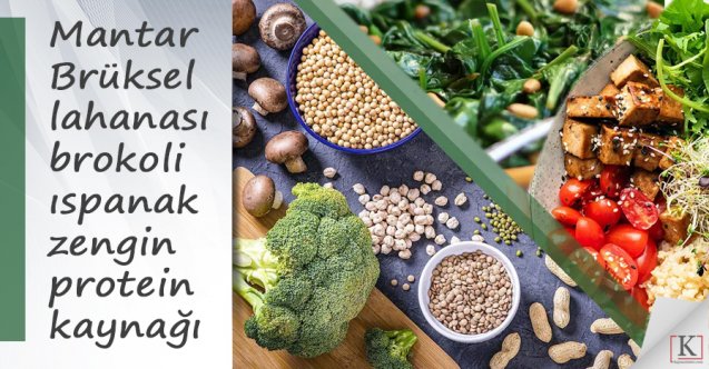 Mantar, Brüksel lahanası, brokoli ve ıspanak zengin protein kaynağı!