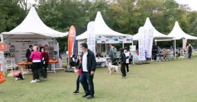 Evcil hayvanlar, hayvanseverler ve çocuklar Atakum'da buluşuyor