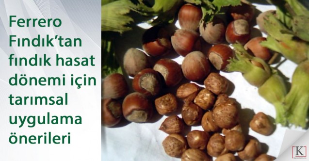 Ferrero Fındık’tan Hasat Dönemi İçin tarımsal Uygulama Önerileri