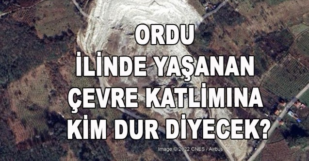 ORDU İLİNDE YAŞANAN ÇEVRE KATLİMINA KİM DUR DİYECEK?