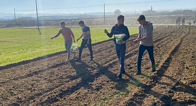 Çiftçiler, Büyükşehir’in Projesinden Yüksek Verim Aldı