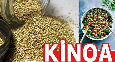 Kinoa Nedir, Nasıl Tüketilir
