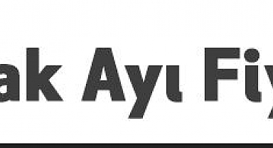 Oyuncak Ayı Fiyatları