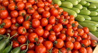 Serik Hali: Antalya'nın Ticaret Merkezi
