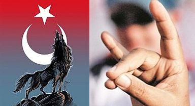 Bozkurt