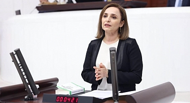 Ayşegül Doğan, Dicle Naz'ın ölümüyle ilgili önerge verdi