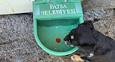 CAN DOSTLARIMIZA HEP BİRLİKTE SAHİP ÇIKALIM