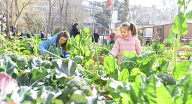 Kadıköy Bostanlarında Hasat Zamanı