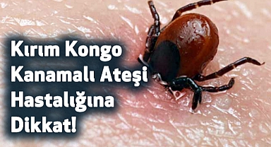 Kırım Kongo Kanamalı Ateşi Hastalığına Dikkat!