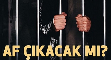 Af Var mı? Ceza İndirim Yasası Ne Zaman Çıkar?