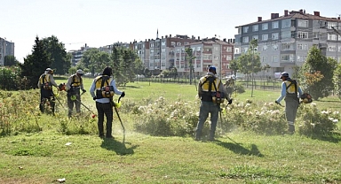 DAHA YEŞİL BİR SAMSUN İÇİN ÇALIŞIYORUZ