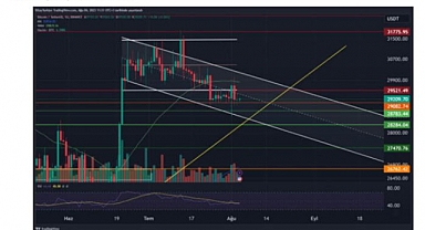 Kripto piyasasını neler hareketlendirir?