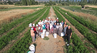 Manisa Belediyesi, Tarım İşçilerine Koruyucu Ekipman Sağlıyor