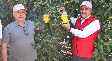 Aydınlı Üreticilere Akdeniz Meyve Sineği Tuzağı Dağıtıldı