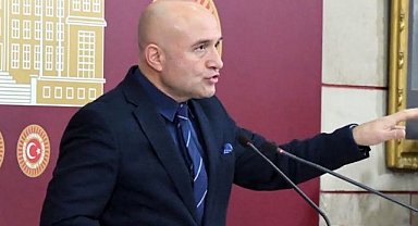 Erhan Usta: Kahverengi Kokarca Fındıklara Zarar Veriyor
