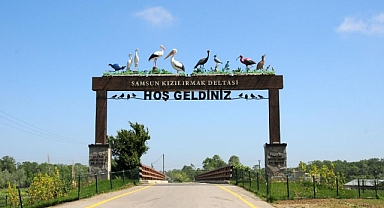 Kızılırmak Deltası Kuş Cennetine Ziyaretçi Akını