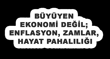 DEVA Partili Karal: TÜİK'in Büyüme Rakamları Gerçeği Yansıtmıyor