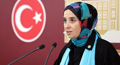Elif Esen; Popülist, eksik ve açıkları olan bir girişim
