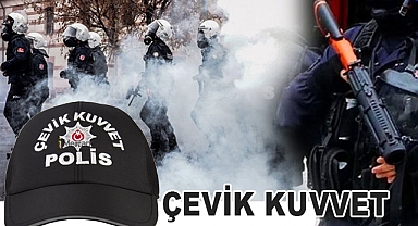 Çevik Kuvvet Nedir