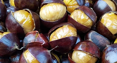 Kestanenin Faydaları ve İçerdiği Vitaminler