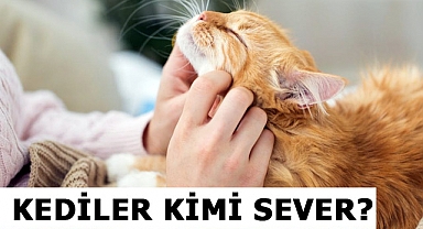 Kediler Kimi Sever?
